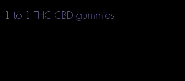 1 to 1 THC CBD gummies