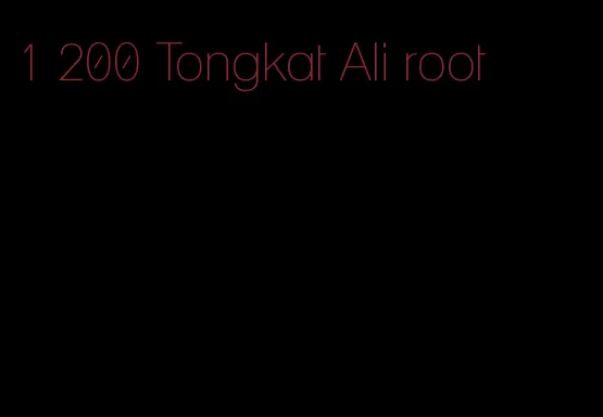 1 200 Tongkat Ali root