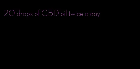 20 drops of CBD oil twice a day