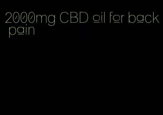 2000mg CBD oil for back pain