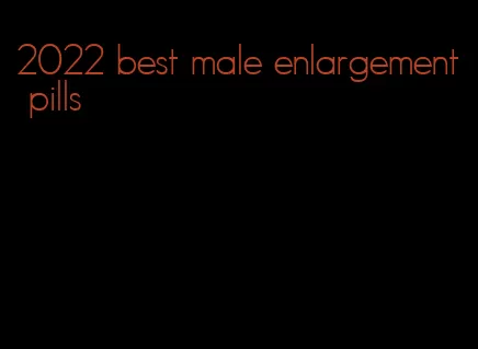 2022 best male enlargement pills