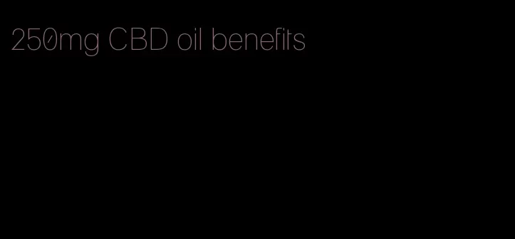 250mg CBD oil benefits