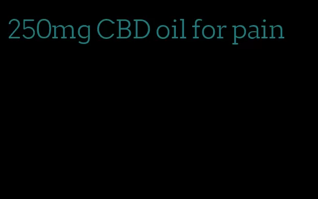 250mg CBD oil for pain