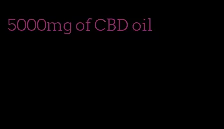 5000mg of CBD oil