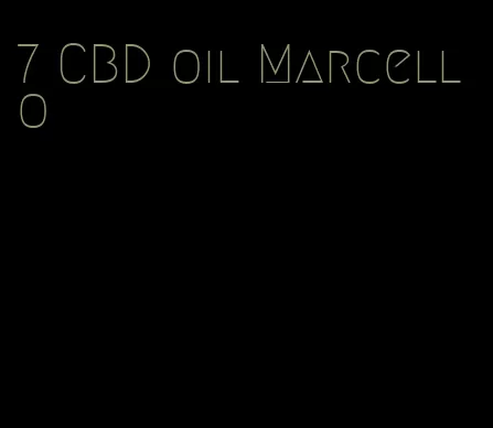 7 CBD oil Marcello