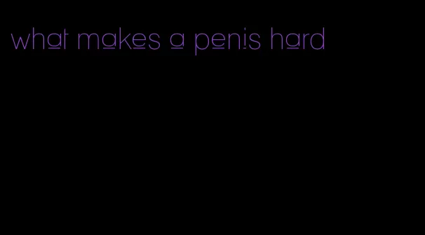 what makes a penis hard