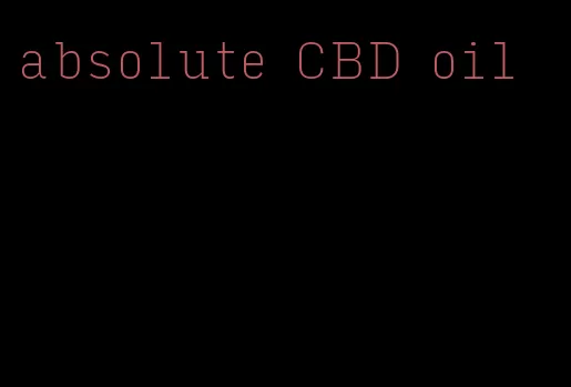 absolute CBD oil