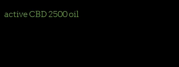 active CBD 2500 oil