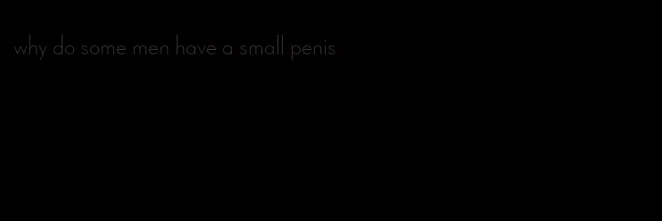 why do some men have a small penis