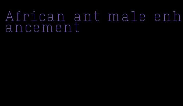 African ant male enhancement