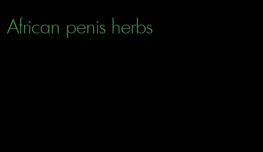 African penis herbs