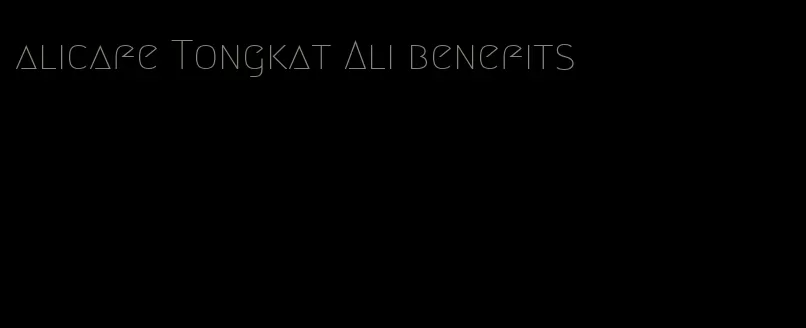 alicafe Tongkat Ali benefits