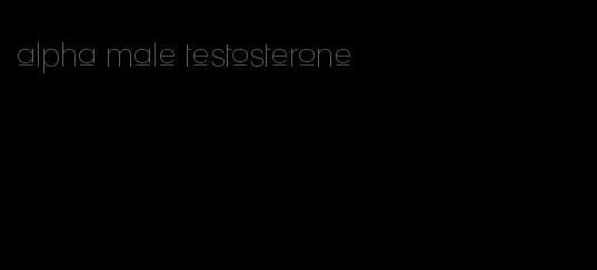 alpha male testosterone