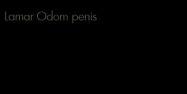 Lamar Odom penis