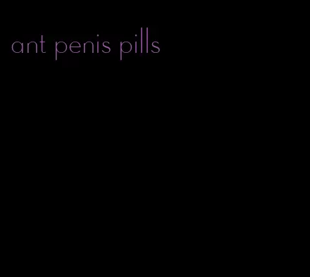 ant penis pills