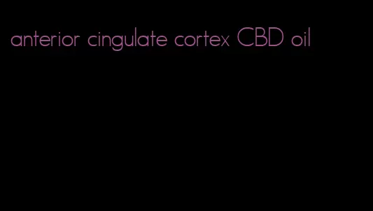 anterior cingulate cortex CBD oil