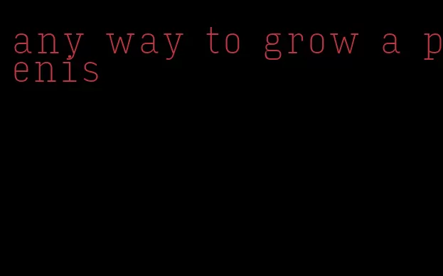 any way to grow a penis