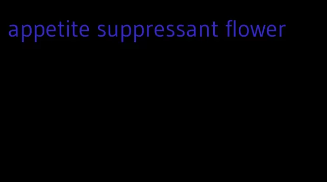 appetite suppressant flower