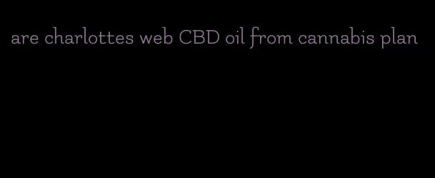 are charlottes web CBD oil from cannabis plan