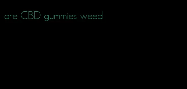 are CBD gummies weed