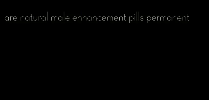 are natural male enhancement pills permanent