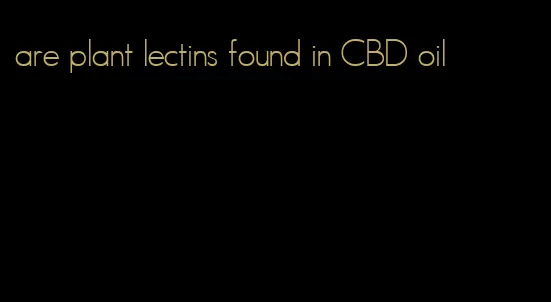 are plant lectins found in CBD oil