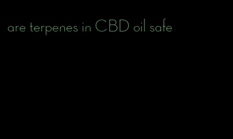 are terpenes in CBD oil safe