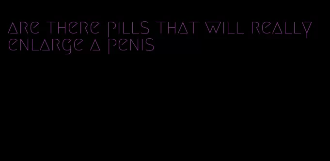 are there pills that will really enlarge a penis