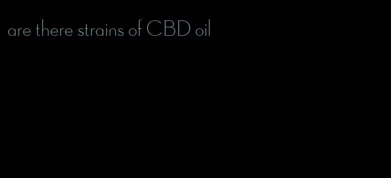 are there strains of CBD oil