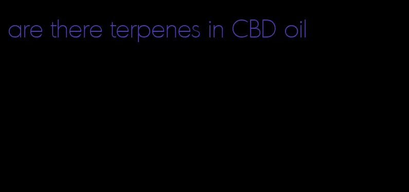 are there terpenes in CBD oil