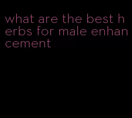 what are the best herbs for male enhancement