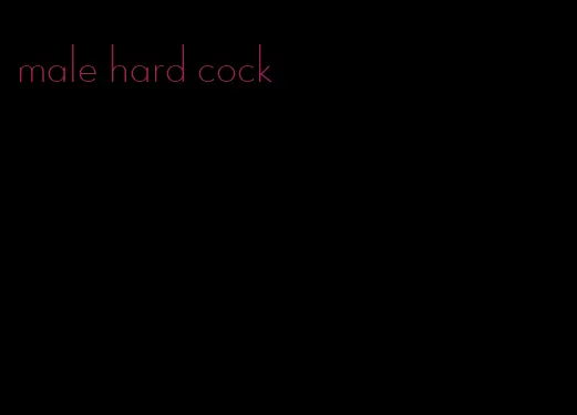 male hard cock