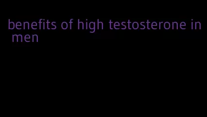 benefits of high testosterone in men