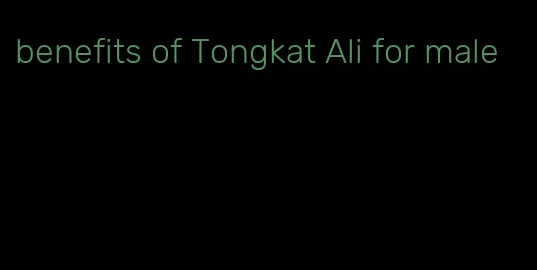 benefits of Tongkat Ali for male