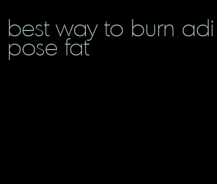 best way to burn adipose fat