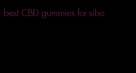 best CBD gummies for sibo