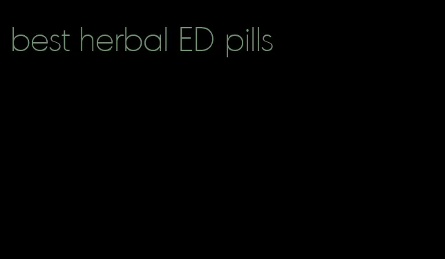 best herbal ED pills