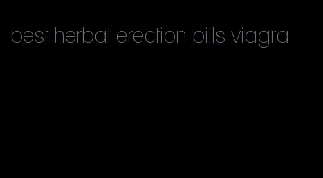 best herbal erection pills viagra