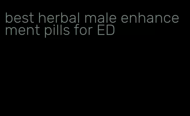 best herbal male enhancement pills for ED