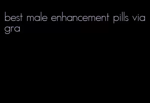 best male enhancement pills viagra