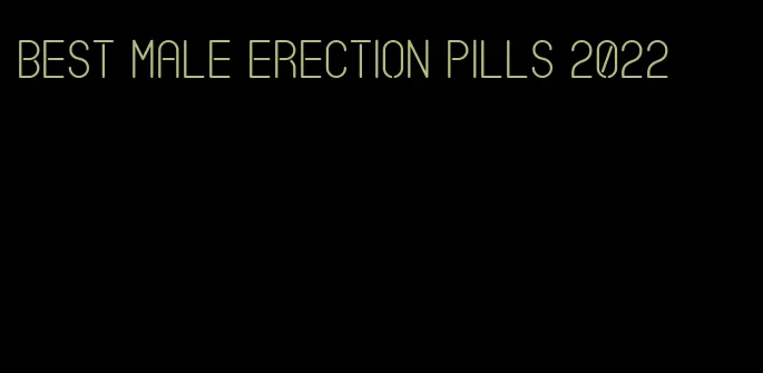 best male erection pills 2022