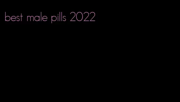 best male pills 2022