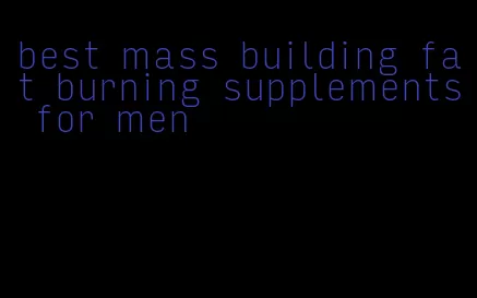 best mass building fat burning supplements for men