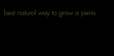 best natural way to grow a penis