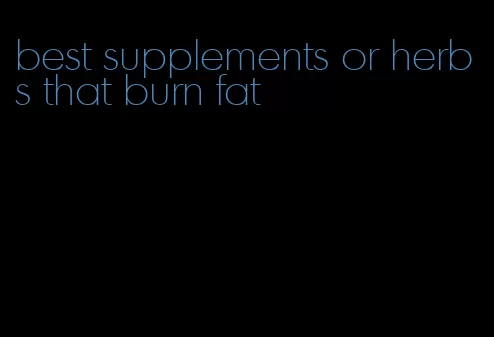 best supplements or herbs that burn fat