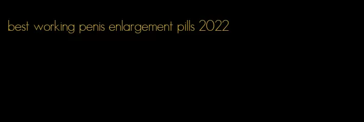 best working penis enlargement pills 2022