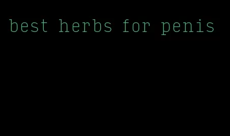 best herbs for penis