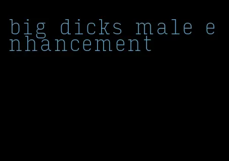 big dicks male enhancement