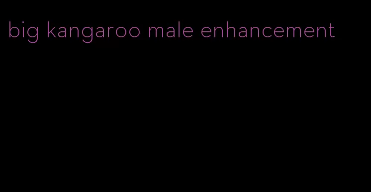 big kangaroo male enhancement