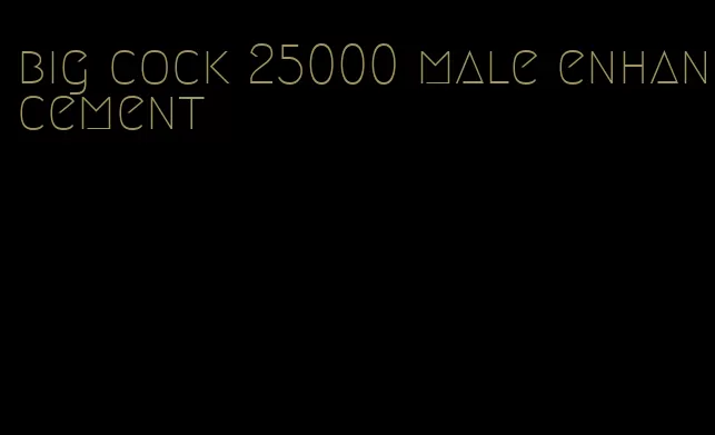 big cock 25000 male enhancement